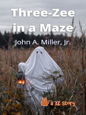 cover image of Three-Zee in a Maze